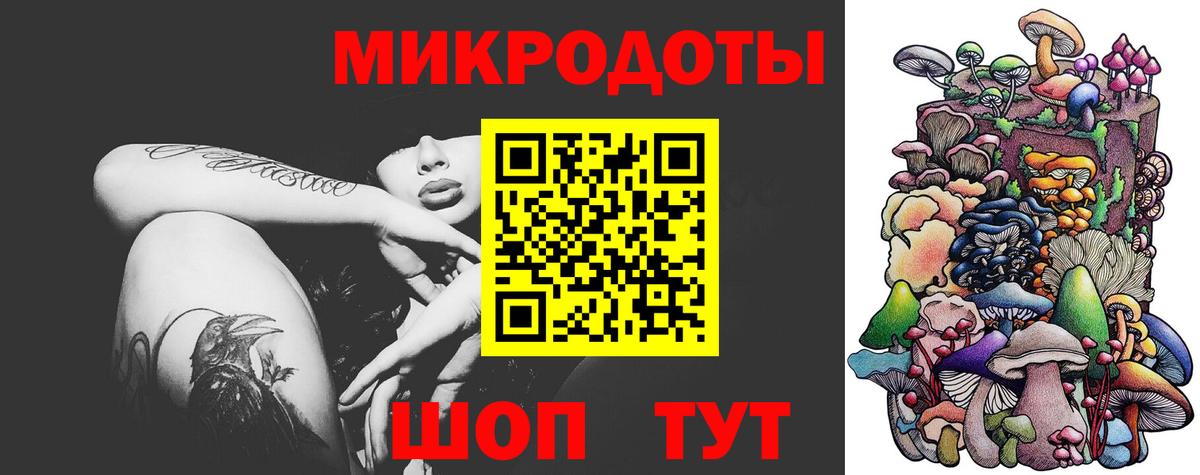 Домодедово  Псилоцибиновые грибы Cubensis  Вход с VPN 